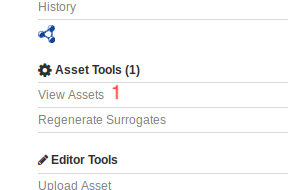 Asset tools menu